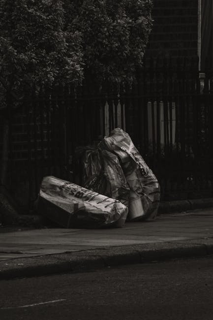 A middle-aged woman with short dark hair, wearing a black T-shirt with white text and dark trousers, is seen on a paved sidewalk in an outdoor park-like setting. She is bent over, reaching into a cylindrical stainless steel public rubbish bin with a rectangular opening at the top, designed for waste collection, as part of an environmental cleanup. The woman holds a large white plastic bag that appears filled with discarded waste, and a wooden stick or broom handle is tucked under her arm, indicating she may be involved in waste collection or street cleaning. The background includes lush green trees and a low stone or concrete barrier that runs along the side of the path, providing a natural and urban environment context. The scene is well-lit with natural daylight, emphasizing the clean, well-maintained setting suitable for municipal or private disposal services like those offered by Waste Collection Hounslow. The image exemplifies on-site waste collection and environmental care activities, relevant to alternative rubbish removal methods beyond regular council services.